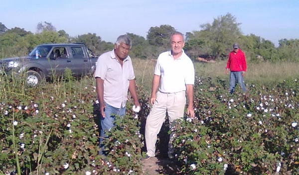 Ambicioso programa agrícola para comunidades indígenas