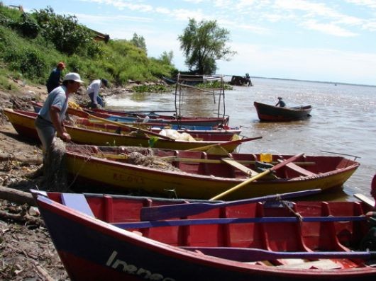 Abonan casi $1.7 millones a pescadores artesanales y acopiadores de carnada