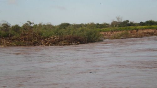 Crecida del río Bermejo no afecto a pobladores costeños de puente Lavalle