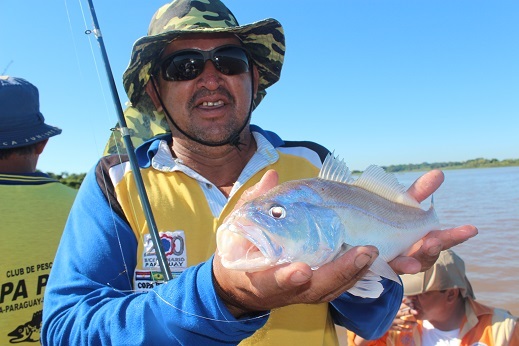 Creciente expectativa ante Fiesta Nacional de la Corvina
