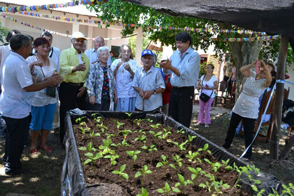 Innovadoras huertas en altura para adultos mayores en casas solidarias