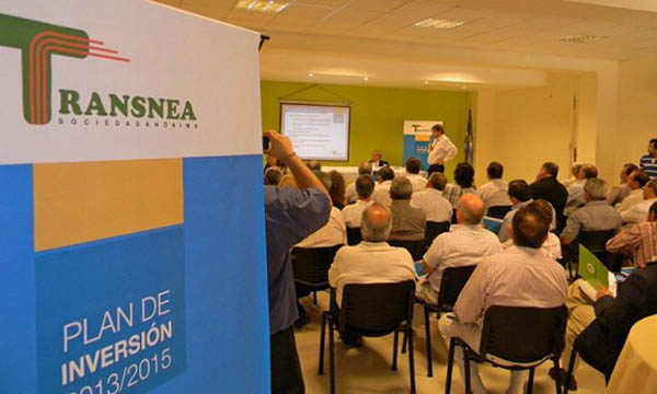 “Delicada desinversión” de Transnea y Transener