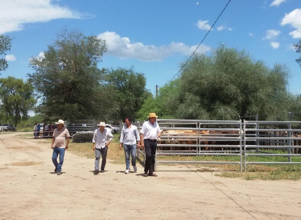 Abrió el ciclo de remates ganaderos con el financiamiento del gobierno provincial
