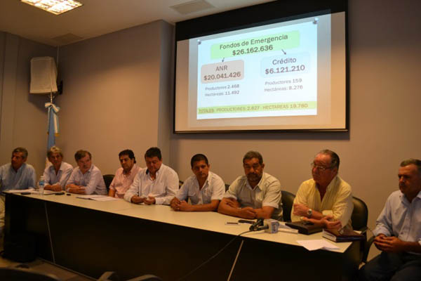 Algodón: Anticipan la buena perspectiva de cosecha con rendimientos superiores