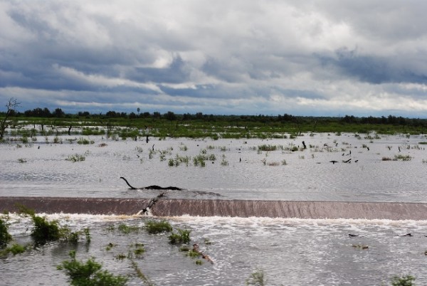 El bañado La Estrella se recarga de agua