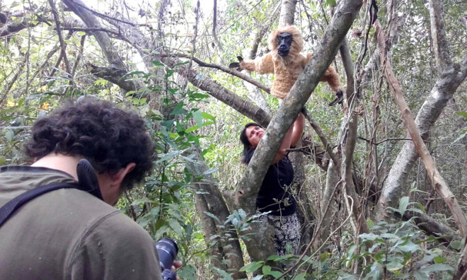 FNA financia piloto de “Ñande Bichos”