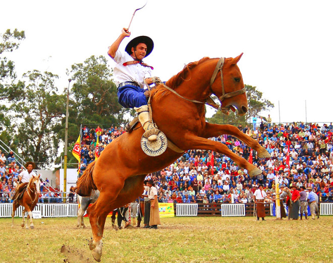 Lanzan oficialmente la Expo Formosa 2015