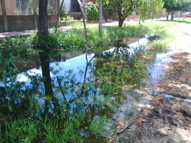 Ibarreta: Vecinos del Barrio Los Laureles reclaman arreglo urgente al “Agua Potable”