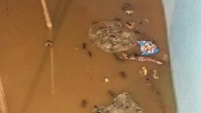 Desidia del municipio reflejada en la fuente del Cristo de Ibarreta