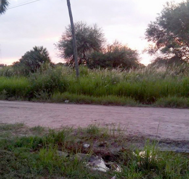 Ibarreta: Vecinos advierten al municipio alto “yuyal”