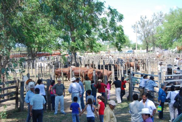 Finalizó con éxito la Expo Pilcomayo