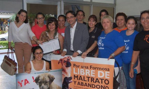 Presentan este lunes adhesiones al proyecto de Protección Animal