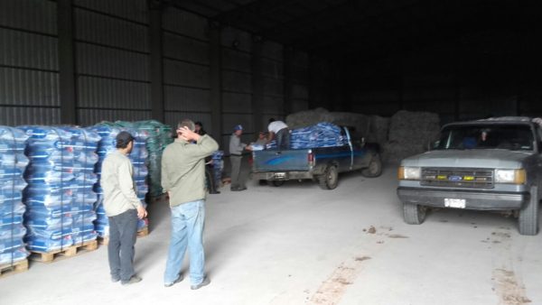 Productores reciben semillas de algodón