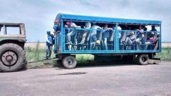 Detectan trabajo esclavo en un campo de Hughes