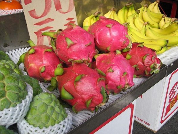 Pitaya, la fruta exótica furor en las playas tops se cultiva en Formosa