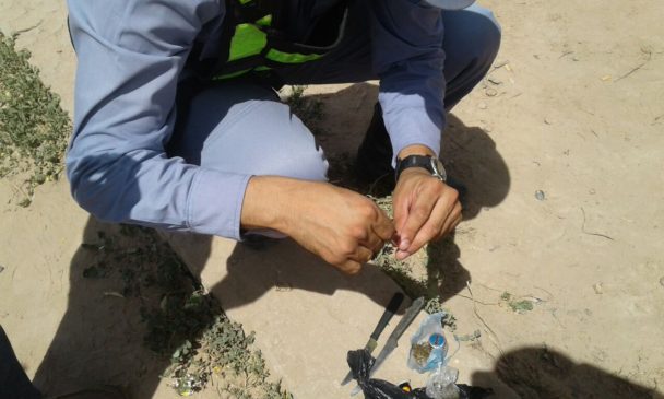 Detienen a dos hombres y una mujer con marihuana fraccionada