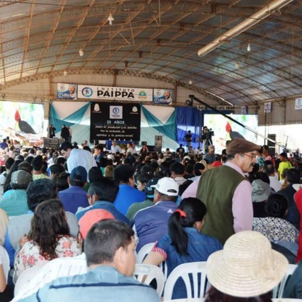El estado provincial desembolso más de $170 millones a favor de los paipperos