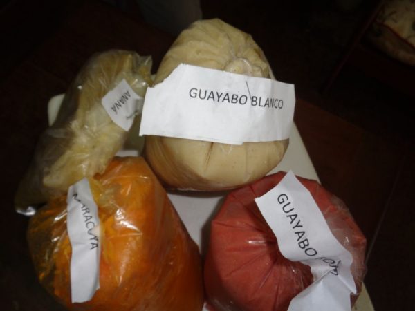 Propician la elaboración de jugos concentrados de frutas tropicales