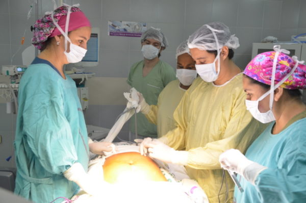 “El país tiene mucho para imitar a Formosa en materia de salud”