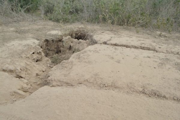Genera enojo decisión federal de paralizar o eliminar obras viales