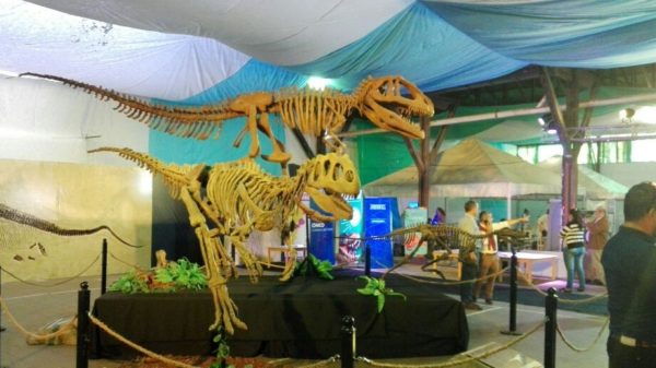 Muestra Itinerante del Ministerio de Ciencia y Tecnología en Formosa