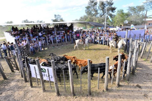 El centro-oeste evoluciona hacia un polo de invernada de novillo a campo