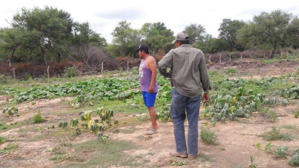 Apoyo técnico a agricultores aborígenes del extremo oeste