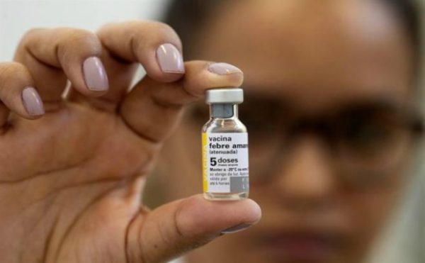 Fiebre amarilla: Paraguay y Formosa no son zonas de alertas