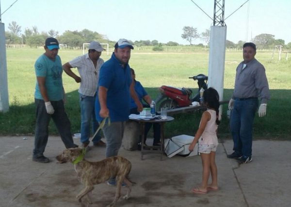 Aplican vacuna antirrábica de manera gratuita a perros y gatos
