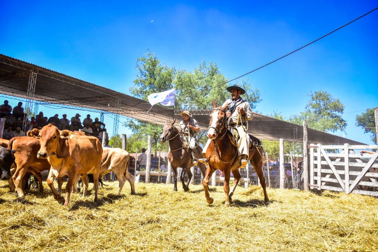 Gran remate de invernada celebró Las Lomitas