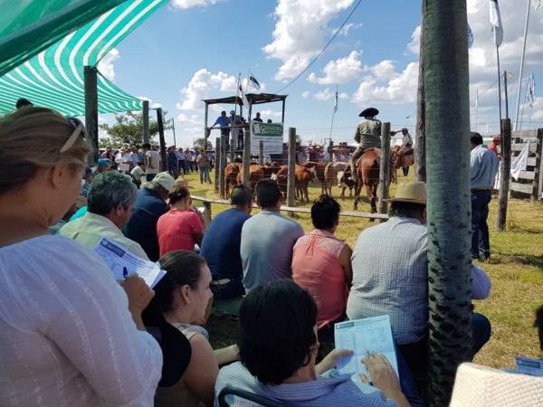 Remate ganadero con paipperos como ejemplo “comunidad rural organizada”