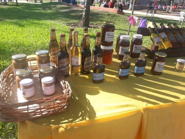 Ibarreta celebró Primer Día Mundial de la Abeja