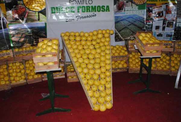 Este martes lanzamiento oficial de la 36° Fiesta Nacional del Pomelo