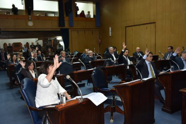 Formosa pidió la inconstitucionalidad del DNU que eliminó el Fondo Sojero