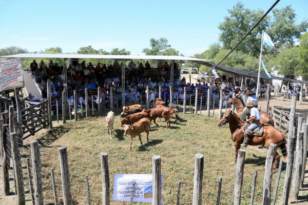 74° Muestra Nacional Agro industrial y ganadera