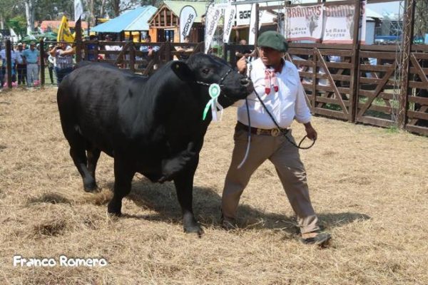 Arrancó la Expo Formosa 2018