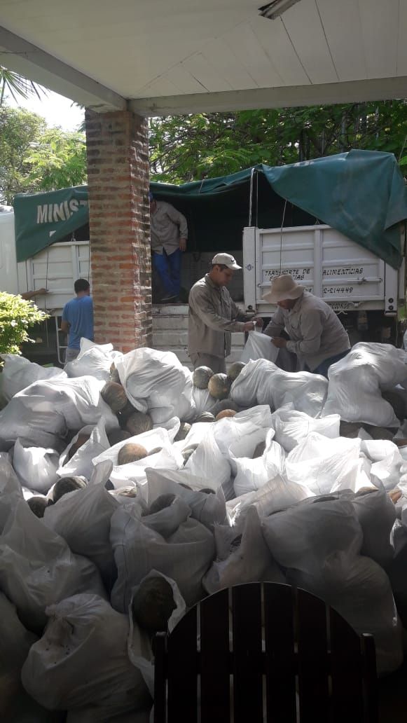 Los CEDEVA intensifican aporte para aumentar la producción de alimentos