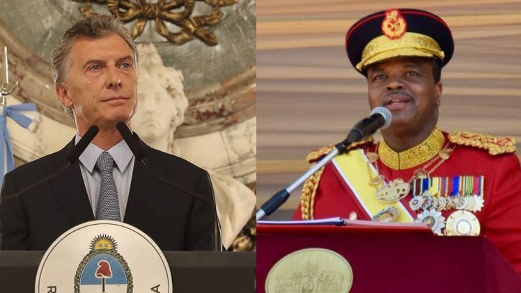 El gato y el león