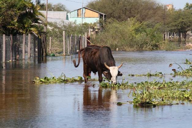 El PEP decreto la emergencia y desastre agropecuario con un carácter predial