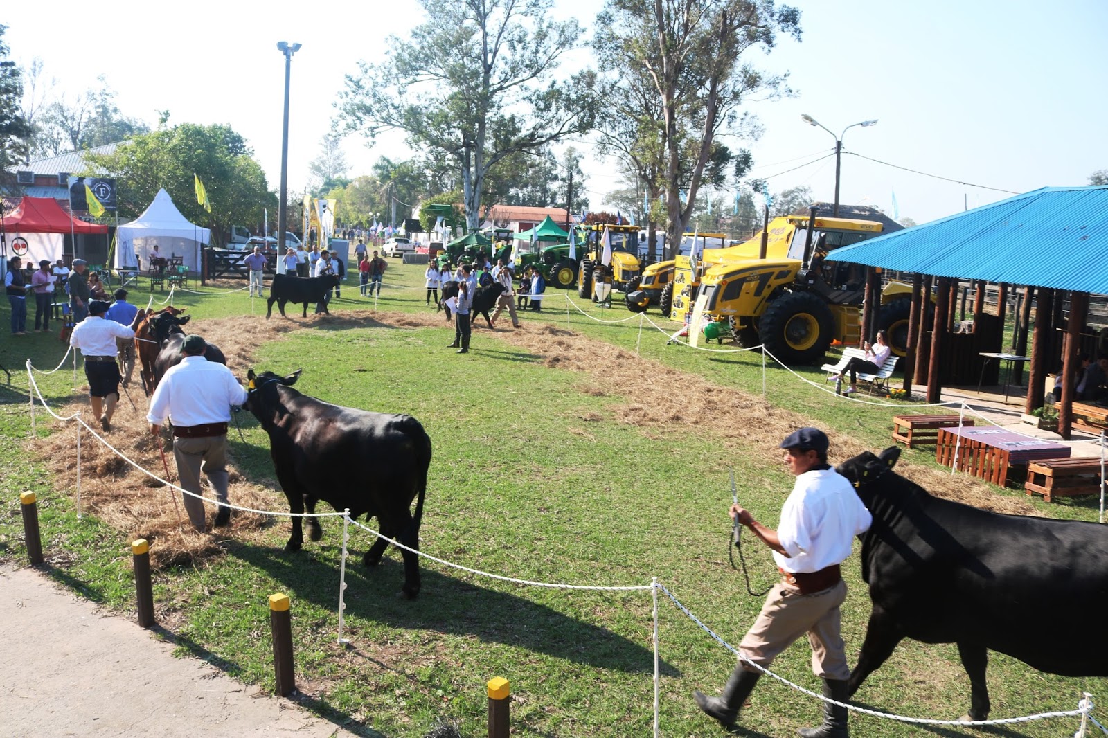 Arrancan oficialmente las actividades en la Expo Rural Formosa 2019