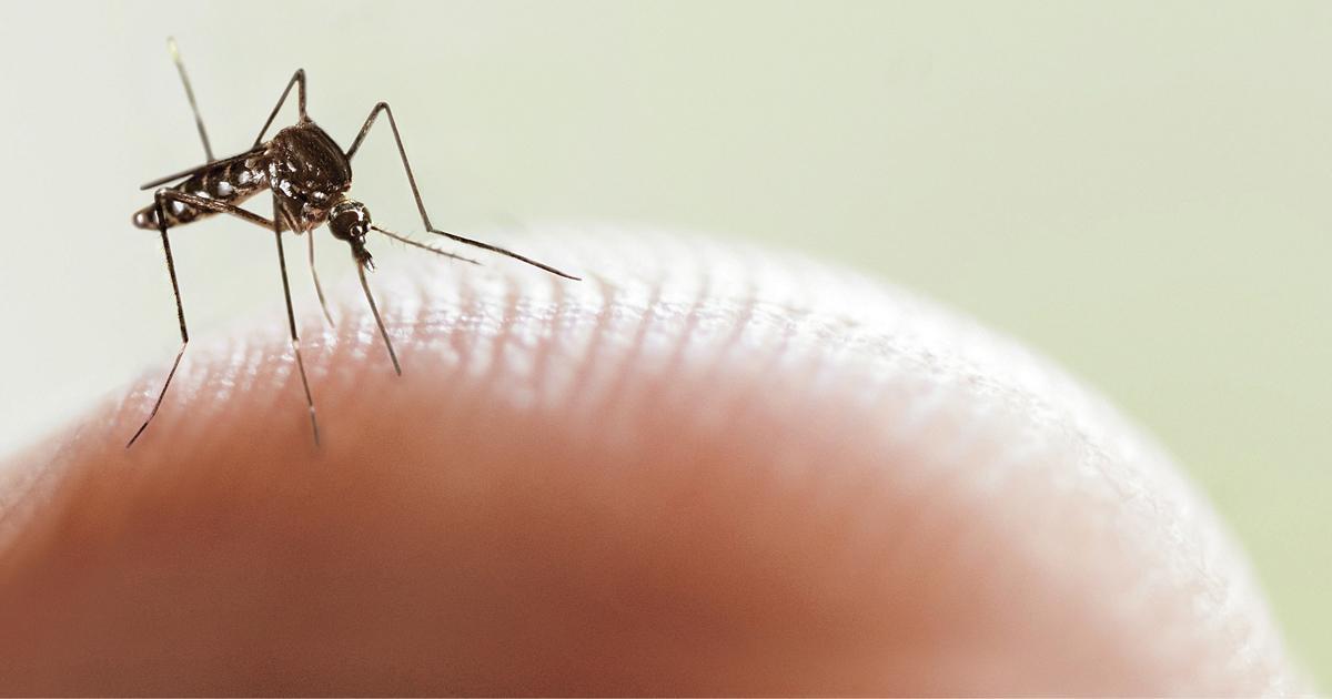 Con 3510 casos, el dengue retrocede en la provincia