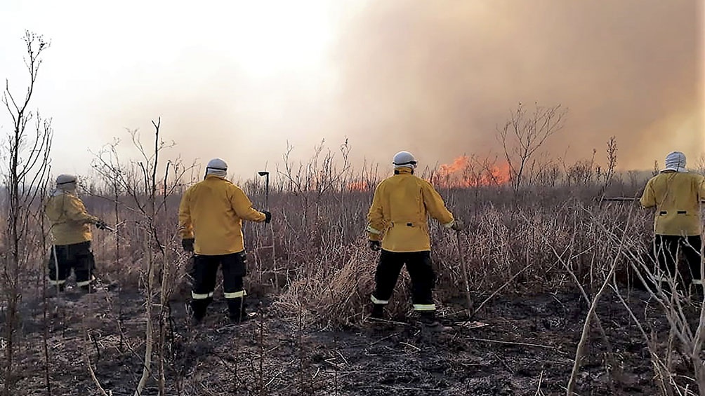 Brigadistas trabajan en la extinción del fuego en las islas del Paraná con medios aéreos y terrestres