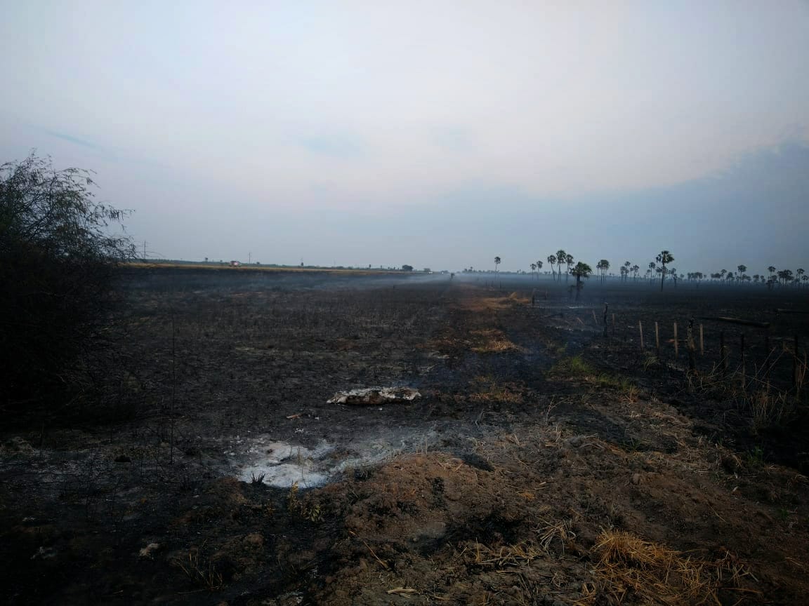 El gobernador Gildo Insfrán decretó la Emergencia Agropecuaria