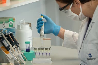 Formosa adquirió 200 dosis de suero equino hiperinmune