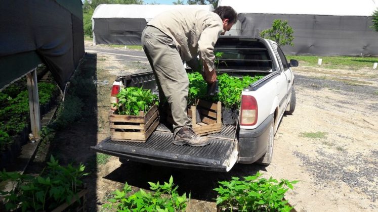 Soberanía Alimentaria: Este jueves en Palo Santo