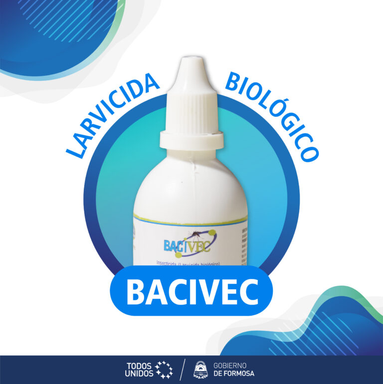Dengue: insisten en el uso del larvicida biológico Bacivec