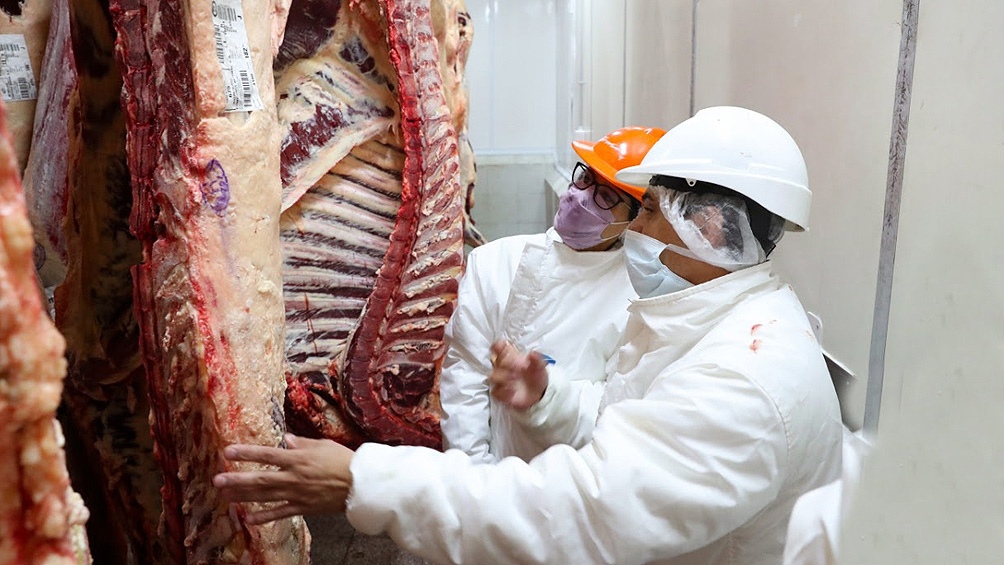 Suba de costos, exportación y remarcación, diferentes visiones sobre el alza del precio de la carne