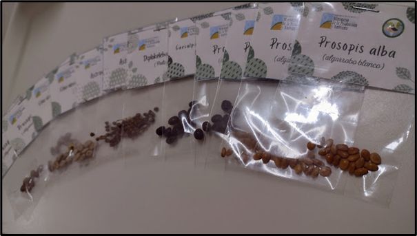 Forestación: Promocionan y concientizan sobre la importancia de árboles nativos