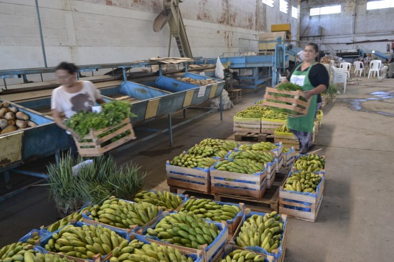 Destacaron el trabajo de la asociación de paipperos para la soberanía alimentaria de la provincia