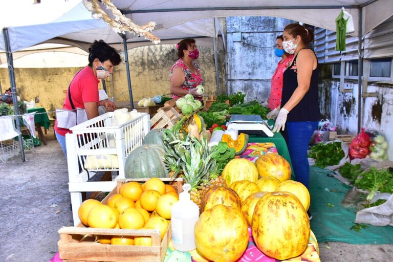 Todo listo para una nueva edición de las ferias paipperas